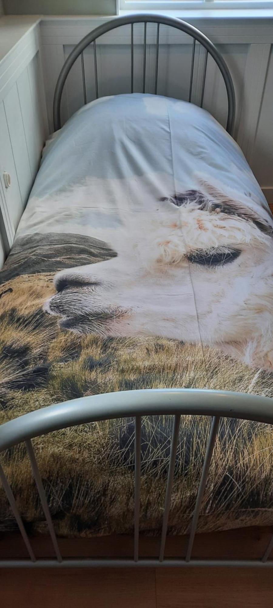 B&B De Raamberg Zundert Cameră foto